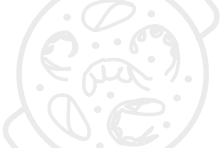 paella transparente paella transparente